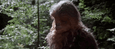 Confused Return Of The Jedi GIF by Star Wars