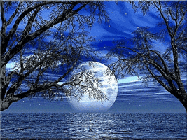 love love boat GIF