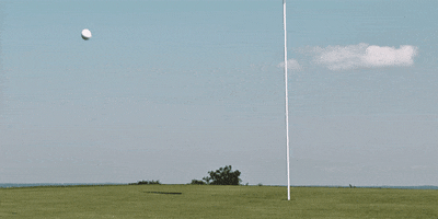 teamtitleist  GIF