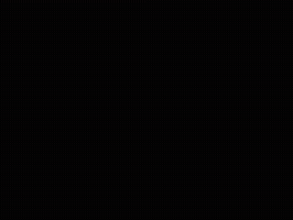 basicmath  GIF