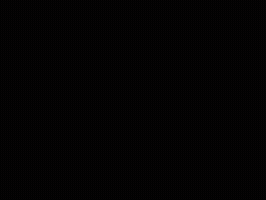 basicmath  GIF