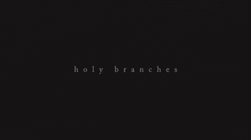 music video holy branches GIF by Radical Face