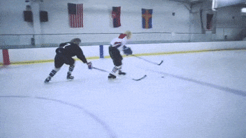 happy ice rink GIF by Epitaph Records