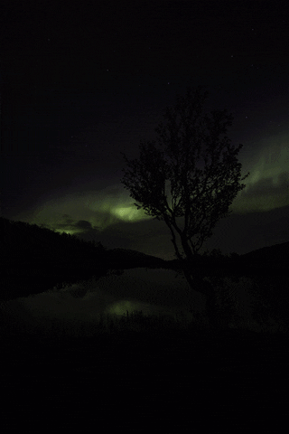 robertalexandersen norway aurora canon artic GIF