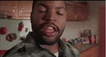 Movie gif. Ice Cube as Craig in "Friday" stand in a kitchen and nods "yes" emphatically at us with his eyes half-closed.
