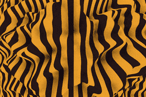 stripes displace GIF by Rational Works