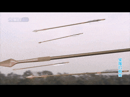 lang  GIF