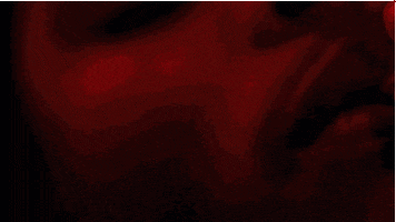 quicksand weed hip hop a$ap rocky l$d GIF