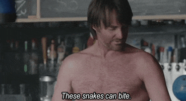 200.gif?cid=fc005b0807775f75dd18bbe07d3a78a7d5c578c870565458&rid=200.gif&ct=g