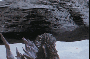 tohoscope  GIF