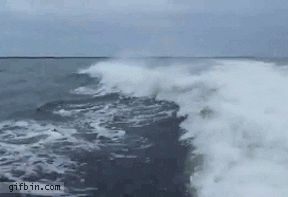 ams  GIF