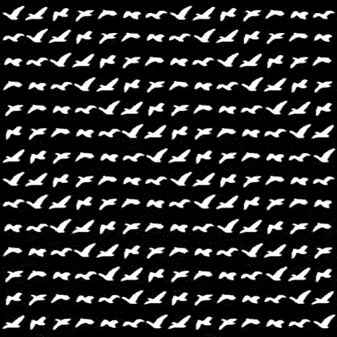 loop birds GIF by weinventyou