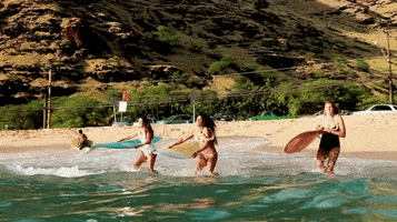 200.gif?cid=fc005b08604ce068752a4501379335de04edf0698d990825&rid=200.gif&ct=g