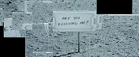 new york film festival