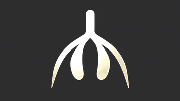 #Getcliterate GIF by Pulling Back The Hood: The Overdue, Under-Told Story Of The Clitoris