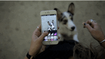 GIF by GIPHY