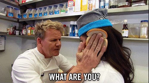 Gordon Ramsey Idiot GIF - Find & Share on GIPHY