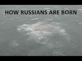 polandball  GIF