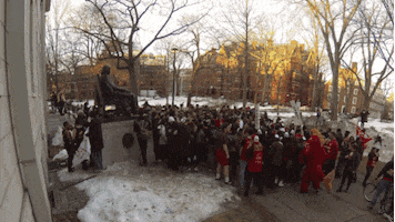 houses housing day GIF by Harvard University