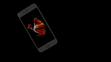 iphone 6s apple event 2015 GIF