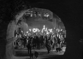 stevedesignsnyc angry mob GIF