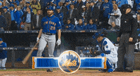 New-york-mets GIFs - Get the best GIF on GIPHY