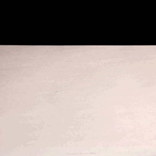 Cut Out Stop Motion GIF by Visual Num Nums Find & Share on GIPHY