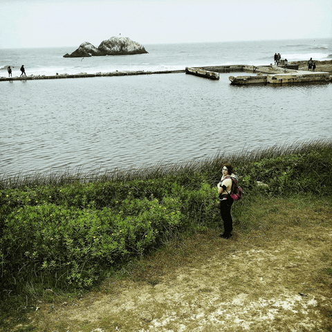 sutro baths iphone GIF by Doctor Popular