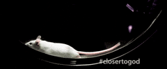 Sci-Fi Horror GIF by Closer to God