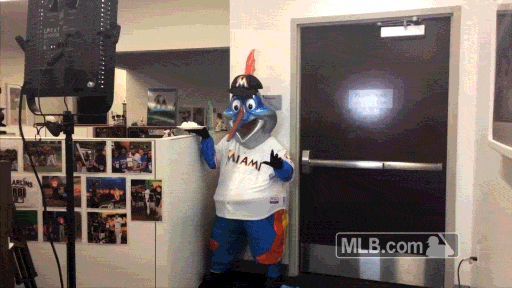 Mia Mascot GIF by MLB - Find & Share on GIPHY