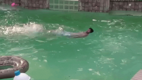 Pool Swimming Gif By Party Down South