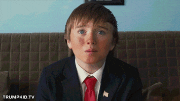 Donald Trump GIF by fularious