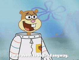 season 4 episode 10 GIF by SpongeBob SquarePants