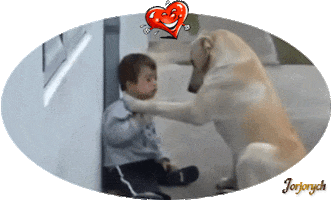 noa  Sticker
