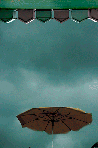 umbrella brighton GIF by Carolina Costa