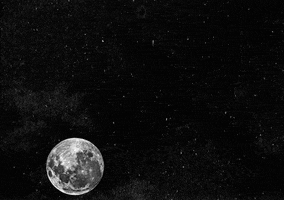 moon universe GIF by Carolina Costa