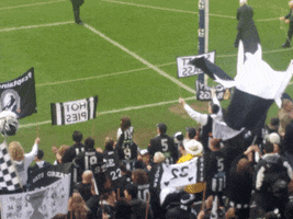 seancallanan afl collingwood mcg GIF