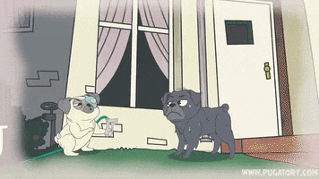 angry dogs GIF by Pugatory