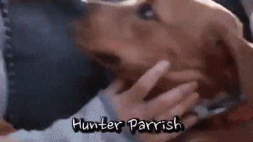 Dogs GIF by Badass BK