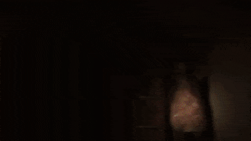furyofthedemon horror scary ghost monster GIF