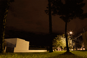 nikolaykomitov bairro bairro bella vista brejos de azeitÃ£o brejos de azeitao GIF