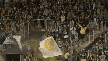 fans flags GIF by Philadelphia Union