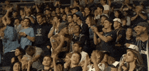 fans cheer GIF by Philadelphia Union