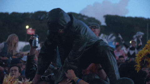 festival GIF by Red Bull
