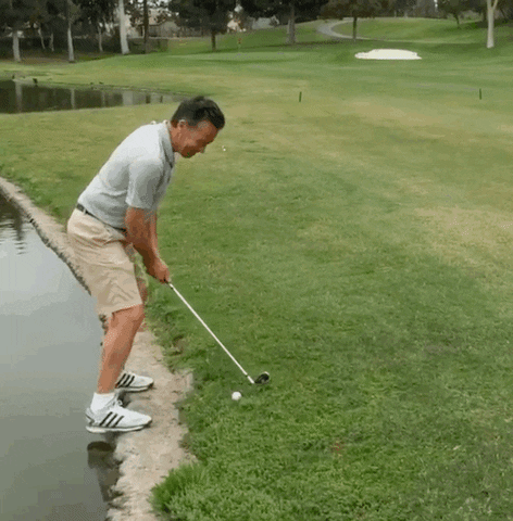 molnarm69  GIF
