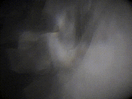 berlitzcorporation halloween night ghost dark GIF