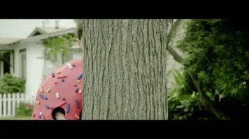 i can't take it donut GIF by Dillon Francis