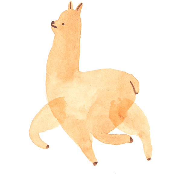 Llama Alpaca Gif By Christina Lu Find Share On Giphy