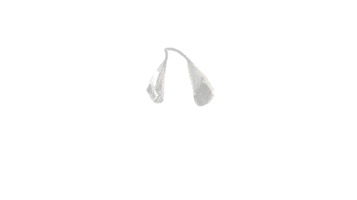 rancho silent partner high res. GIF