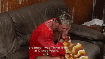 i dreamed i was tinkerbell at disney world GIF by Party Down South